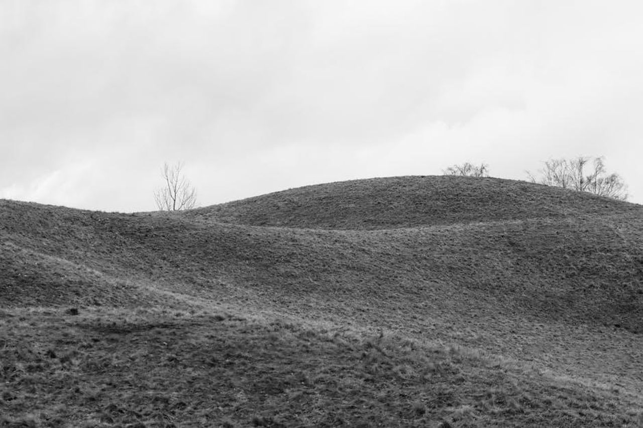 La_reazione_di_Macaulay_alla_vittoria_di_Kieran_p31ehvoVwR - Confidenze24 Source: Efrem Efre - pexels - Black and white