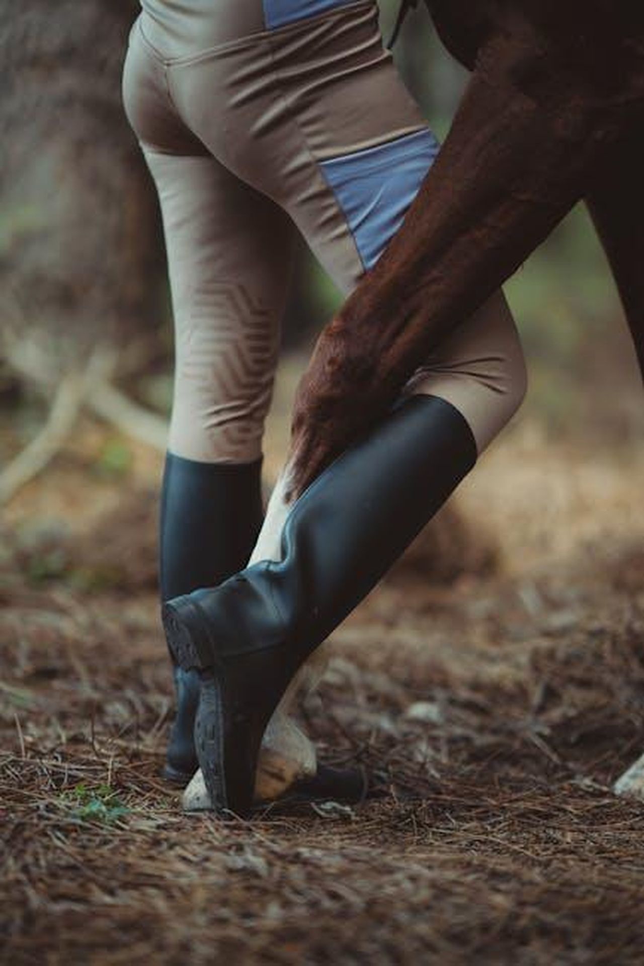 La_relazione_tra_Tiger_Woods_e_Vanessa_Trump_sSvTKxlPcZ - Confidenze24 Source: Zafer Erdoğan - pexels - A close-up of a rider's leg interacting with a horse, showcasing their bond.