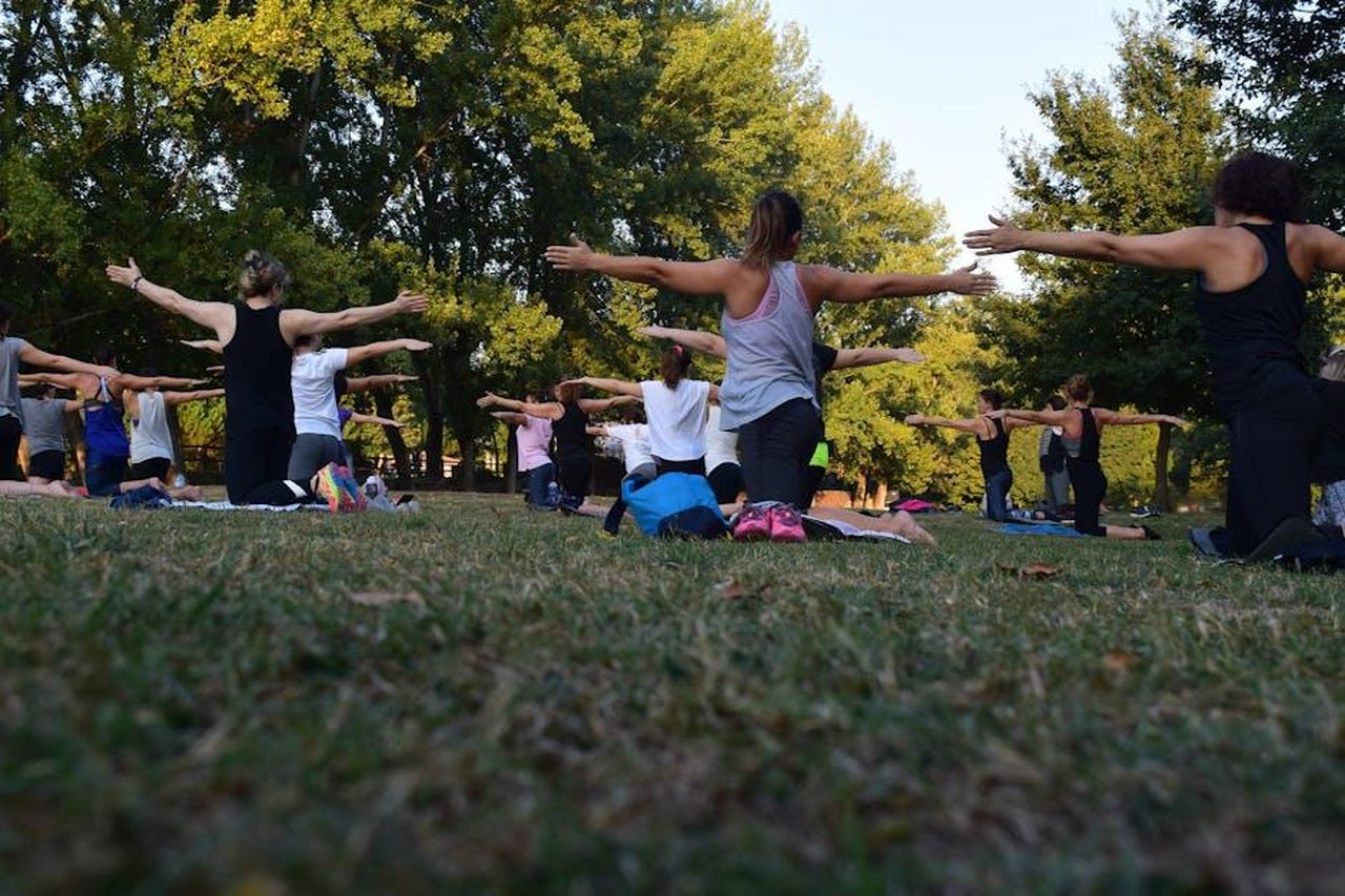 La_salute_e_il_benessere_durante_la_maternit_AUNlsiicKZ - Confidenze24 Source: Rui Dias - pexels - Group of adults practicing yoga outdoors in a park surrounded by trees.