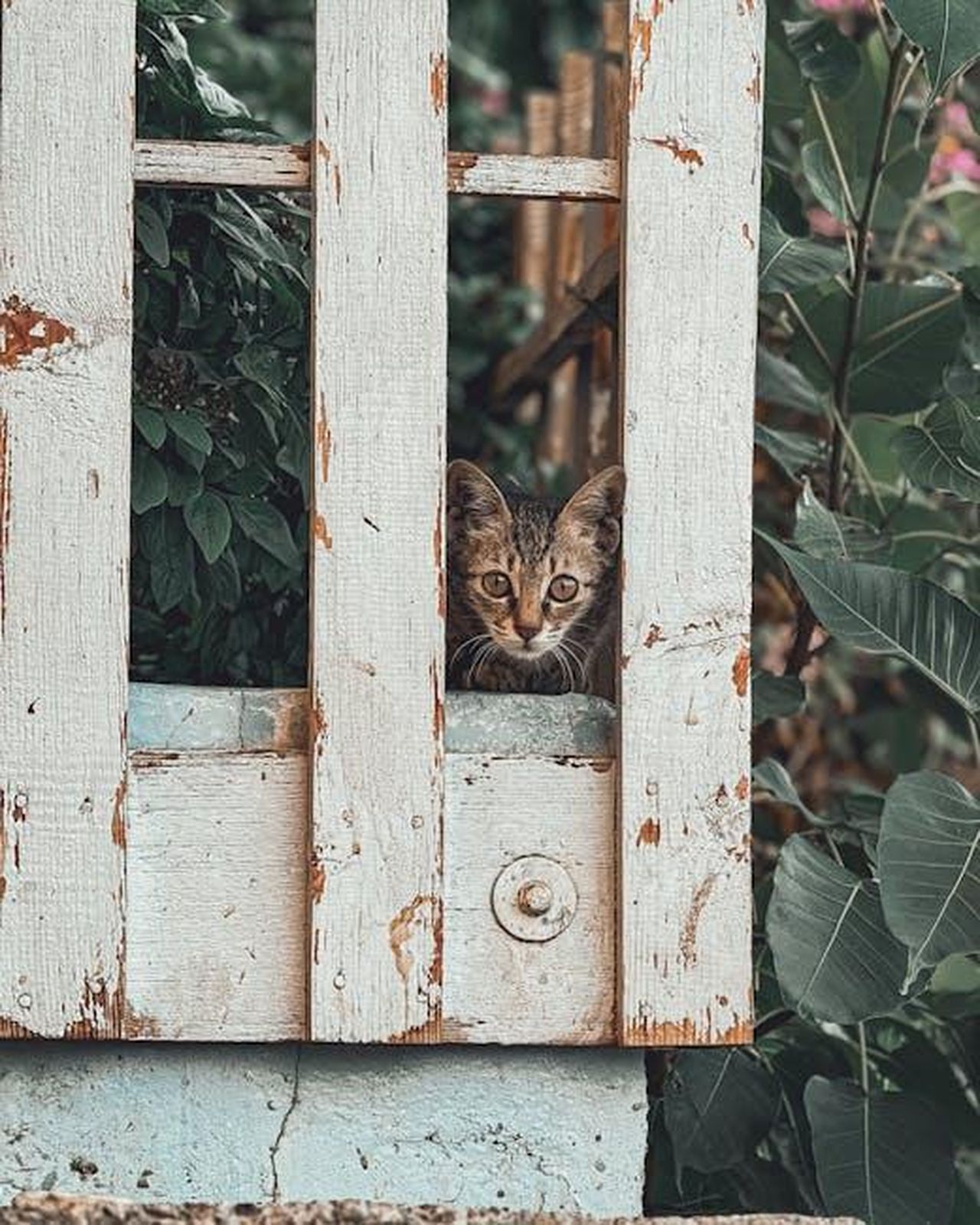 La_seconda_casa_di_Michelle_BZuYpED3Hw - Confidenze24 Source: Viju Shaji - pexels -