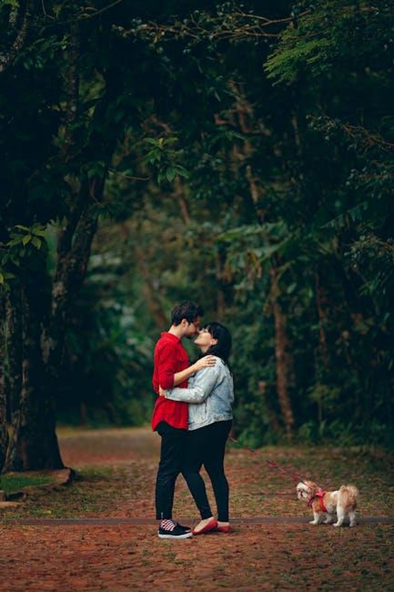 La_storia_damore_di_Drew_e_Linda_QMqRU42uhh - Confidenze24 Source: Helena Lopes - pexels - Young couple embracing in a lush forest with their small dog. A moment of affection and togetherness.