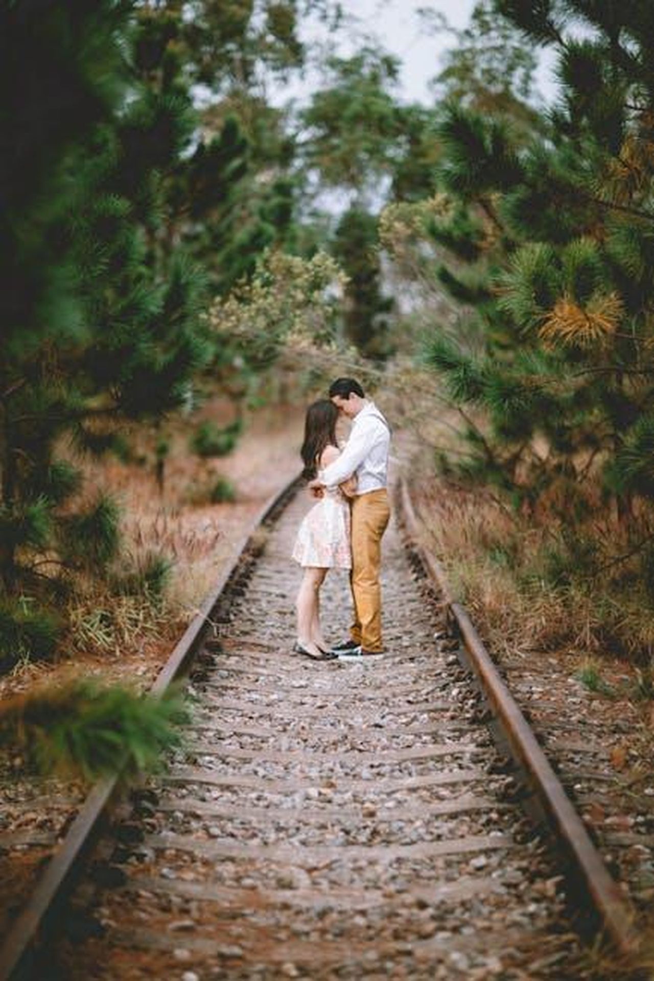 La_storia_damore_di_Melissa_McCarthy_e_Ben_Falcone_J4EyBBZoqV - Confidenze24 Source: Pixabay - pexels - A romantic couple embracing on railway tracks surrounded by nature, depicting love and togetherness.