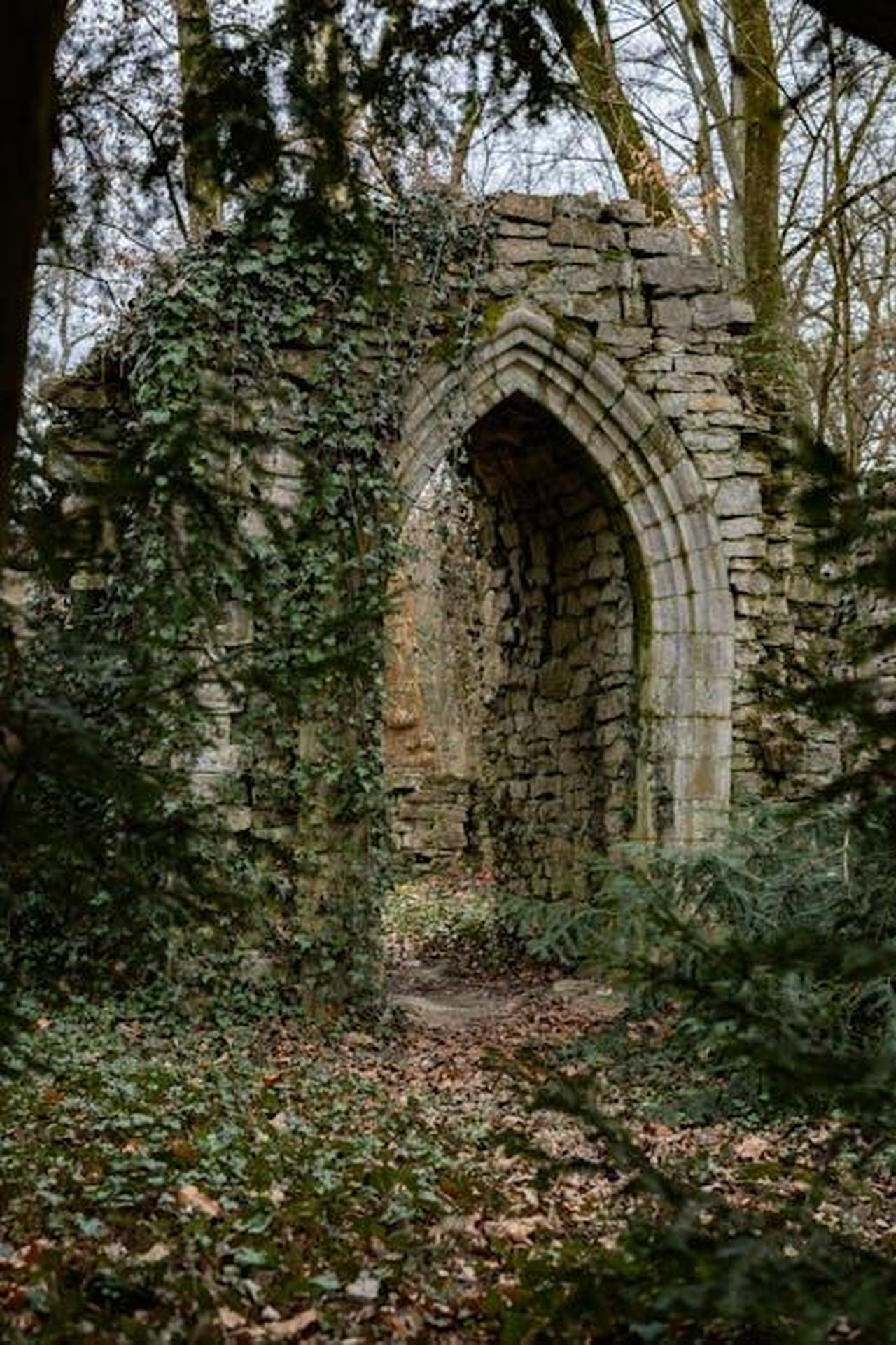 La_storia_di_Tiger_Woods_e_Elin_Nordegren_DUa8KeycbP - Confidenze24 Source: Istvan Gni - pexels - An ancient stone archway covered in ivy in Vácrátót Botanical Garden, Hungary.