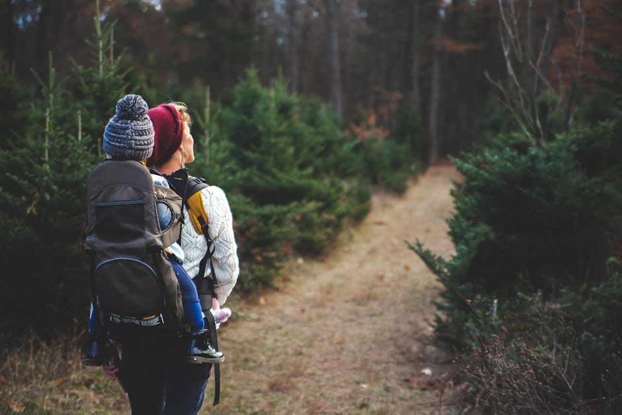 La_vita_da_genitori_e_la_privacy_a63iwoDi30 - Confidenze24 Source: Josh Willink - pexels - A mother with her child in a carrier backpack hiking through a forest trail on a crisp autumn day.
