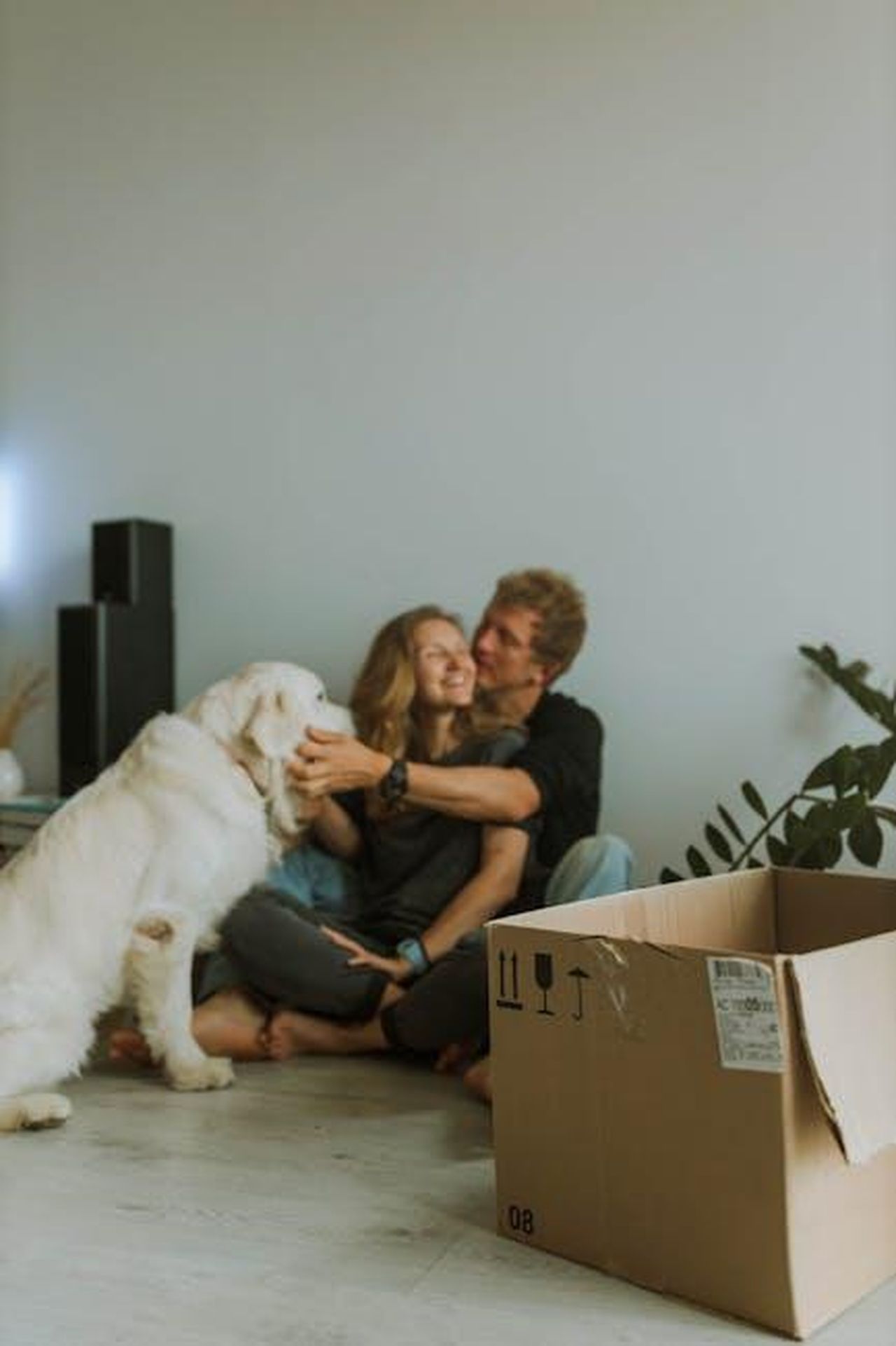 La_vita_di_Gwyneth_e_il_cambiamento_dopo_il_successo_OlDnI7IGiB - Confidenze24 Source: Anastasia Shuraeva - pexels - Young couple sitting with a white dog during moving. A cardboard box is in the foreground.