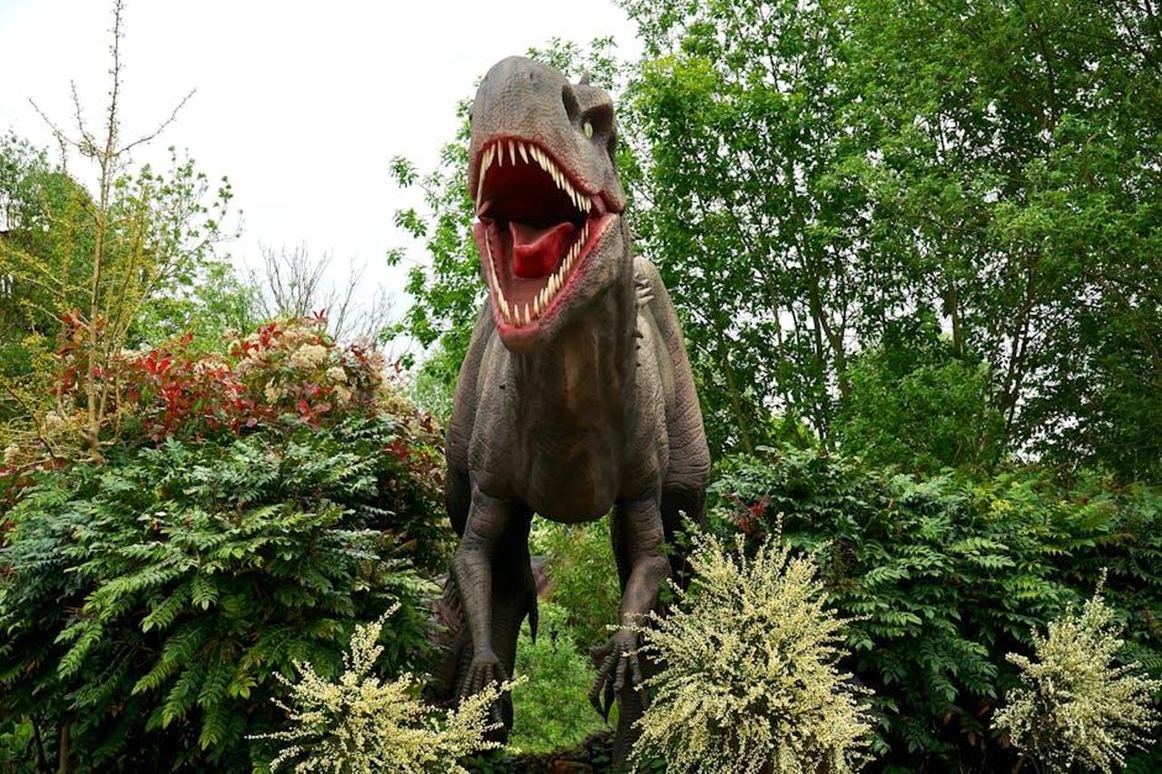 Lamore_di_Grace_per_i_dinosauri_dMGN4ioe6c - Confidenze24 Source: Mike Bird - pexels - A lifelike dinosaur model surrounded by vibrant greenery in a tranquil park garden.