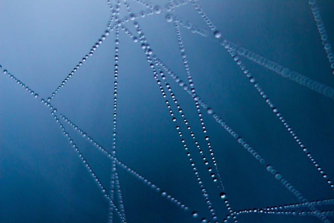 Le_connessioni_tra_gli_invitati_e_la_coppia_Tcn9hZXlM9 - Confidenze24 Source: Pixabay - pexels - Close-up of water droplets on a web against a dark background, showcasing nature's symmetry.