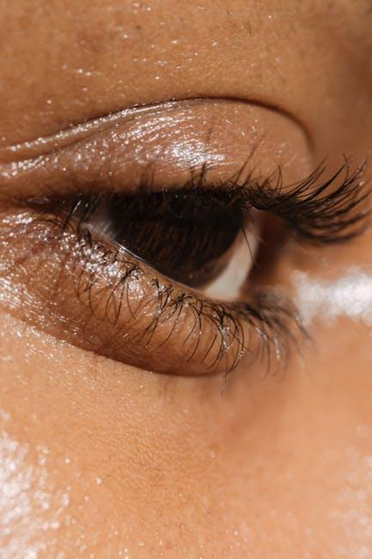 Le_conseguenze_del_taglio_delle_ciglia_YhhG59ffFF - Confidenze24 Source: Angela Roma - pexels - Detailed close-up of a natural eye showcasing eyelashes, lid, and skin texture.