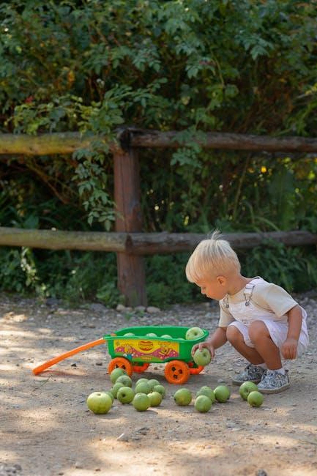 Le_passioni_di_Tildy_avventure_e_coccole_fyPhCOd3H0 - Confidenze24 Source: Polesie Toys - pexels - A young child plays with a colorful toy wagon filled with green apples on a sunny day outdoors.