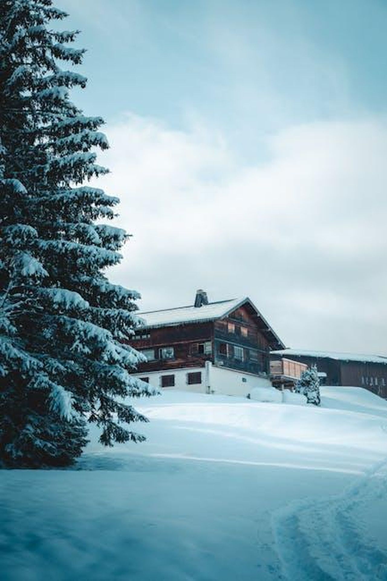 Le_reazioni_degli_utenti_su_TikTok_ci6KOQIzSi - Confidenze24 Source: Ryan Klaus - pexels - Serene winter scene of a snowy chalet nestled in a forest, Megève, Auvergne-Rhône-Alpes.