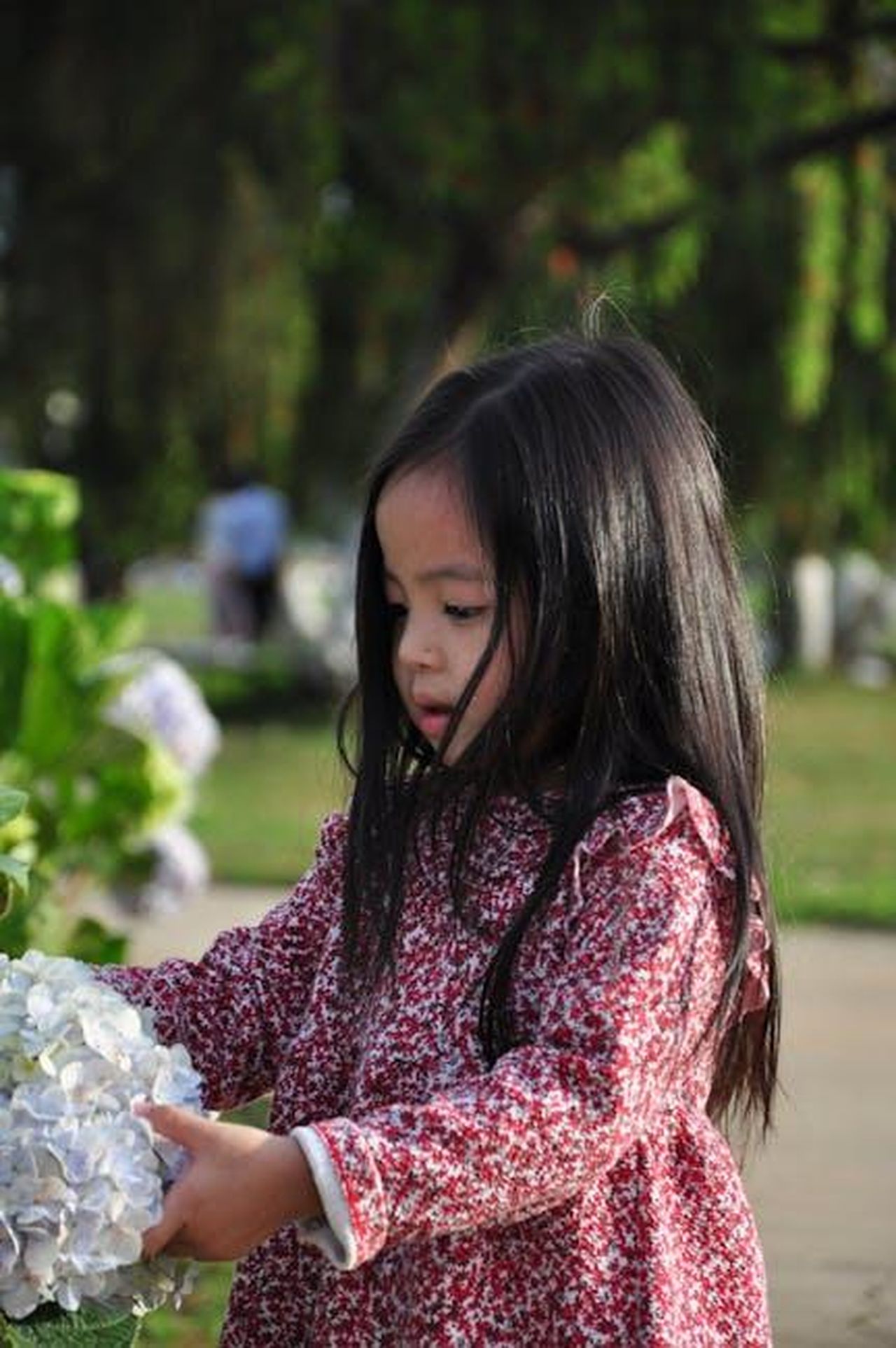 Le_reazioni_dei_fan_e_della_famiglia_JmBUoWRkqV - Confidenze24 Source: Toan Nguyen - pexels - Free stock photo of asian baby, baby girl, baby portrait