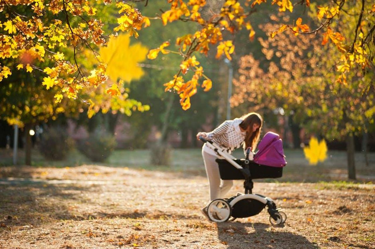 Le_riflessioni_di_Rosie_sulla_maternit_77V6gZ6W5c - Confidenze24 Source: Alex P - pexels - Mother strolling in a sunny autumn park with a baby stroller, surrounded by colorful leaves.