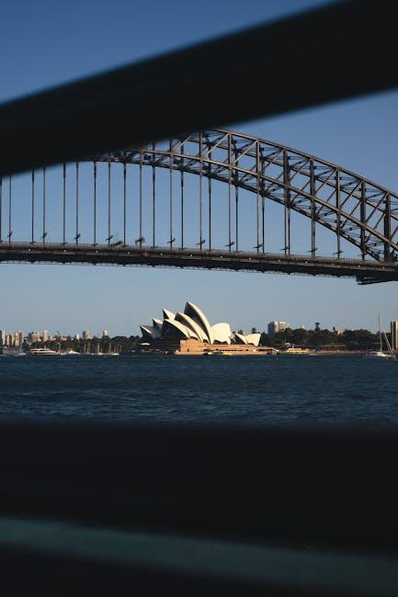 Le_ultime_scene_di_Paddy_Bever_come_Max_sono_gi_andate_in_onda_IIiJrKeg5y - Confidenze24 Source: Kevin Hy - pexels - Free stock photo of on ferry, over water, sydney
