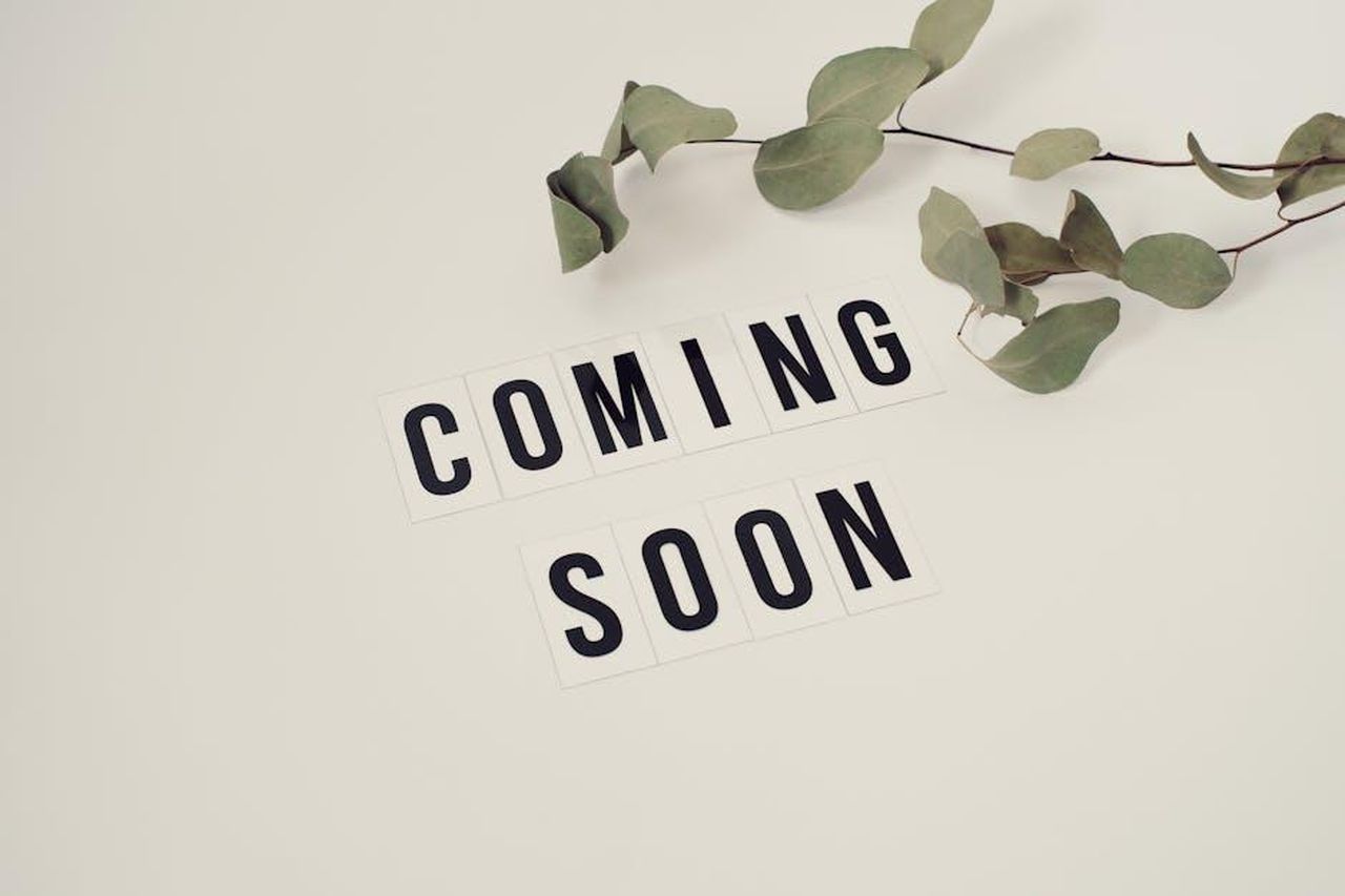 Leave_It_to_Beaver_19571963_9EorKoSTq0 - Confidenze24 Source: Vie Studio - pexels - Eucalyptus branch with 'Coming Soon' message on white background for announcements.