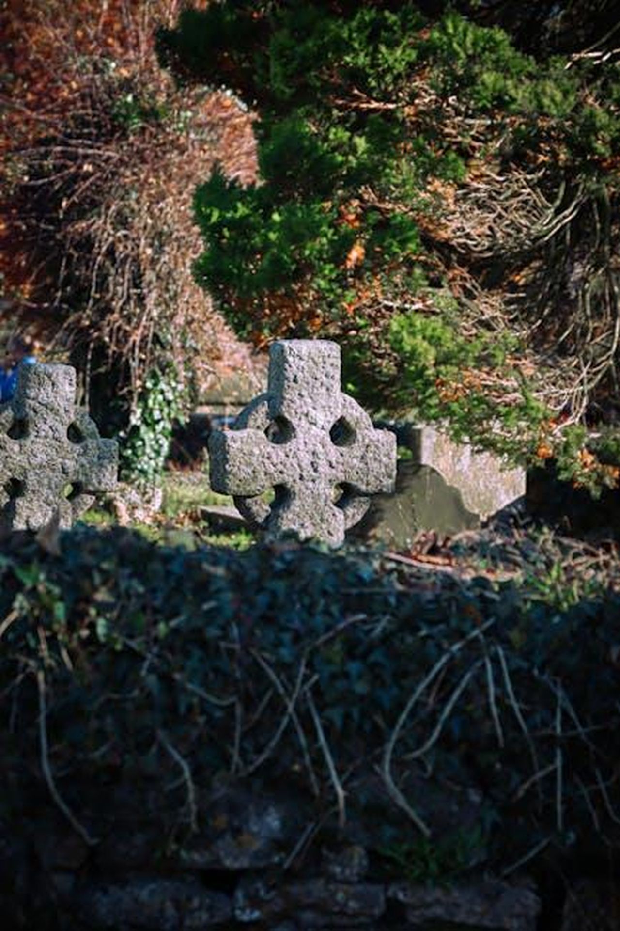 Leredit_di_John_Lennon_e_il_futuro_di_Yoko_Ono_BQpLjMMtRA - Confidenze24 Source: Kristian Thomas - pexels - Free stock photo of cemetery, cross, grave