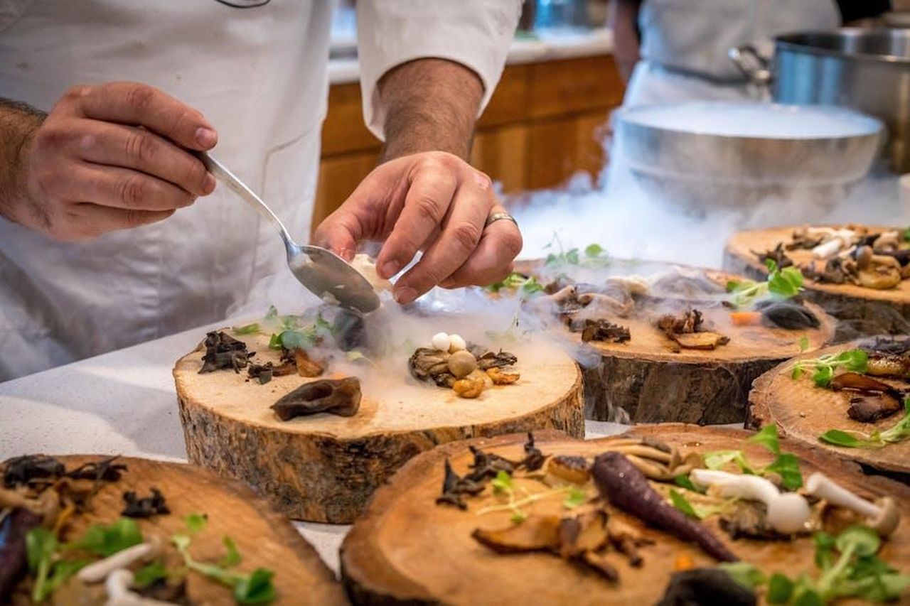 Lo_chef_si_difende_contro_le_critiche_degli_spettatori_UIjCZGfW5F - Confidenze24 Source: ELEVATE - pexels - A chef artfully plating a gourmet dish with mushrooms and greens on wood slices.