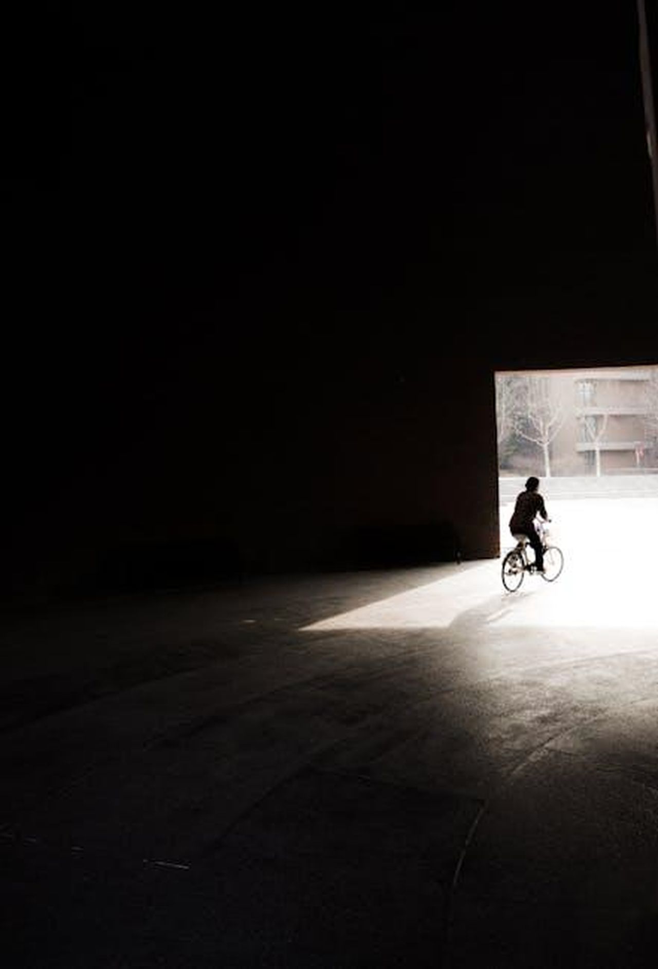 Luscita_di_Natalie_da_EastEnders_CBw9Vws7vm - Confidenze24 Source: 女子 正真 - pexels - Dramatic silhouette of a cyclist emerging from a dark tunnel into bright sunlight.