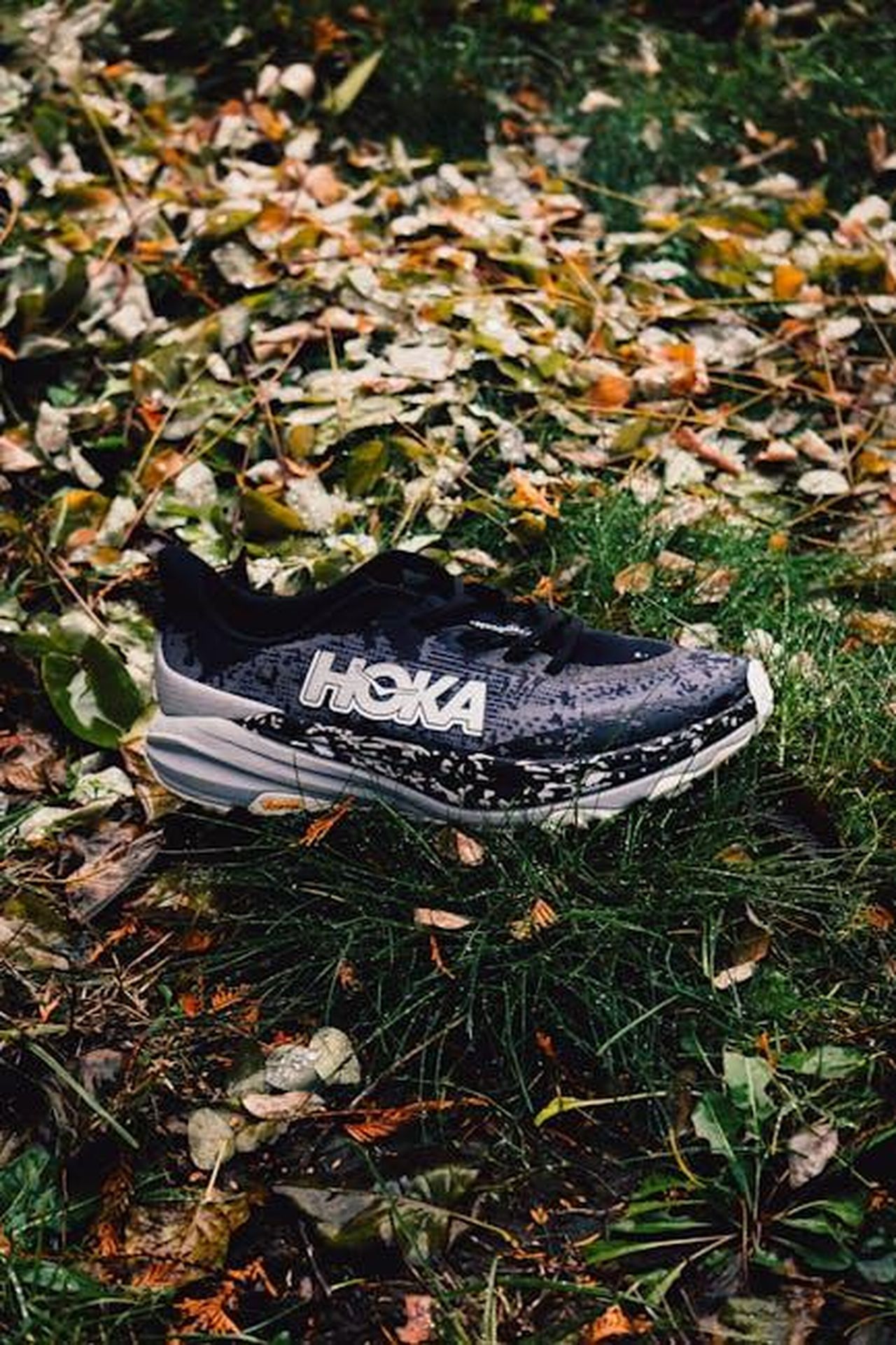 Migliori_Offerte_HOKA_Primavera_2025_owU56zLanx - Confidenze24 Source: Alin Serban - pexels - Black sports shoe placed on lush green grass with autumn leaves.