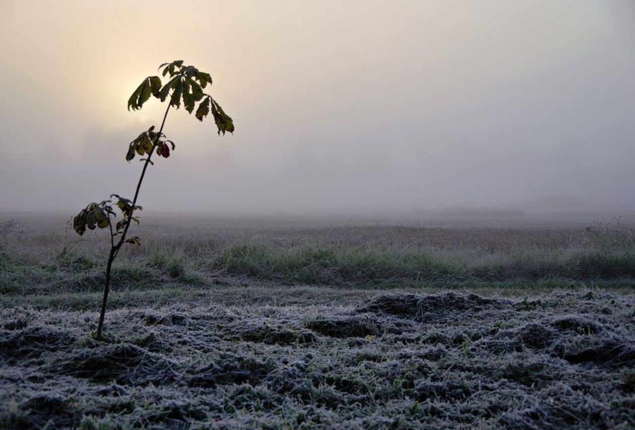 Offerte_anticipate_del_Big_Spring_Sale_2025_1XrOPRsBQI - Confidenze24 Source: Ivars - pexels - Free stock photo of cold, frosty, landscape