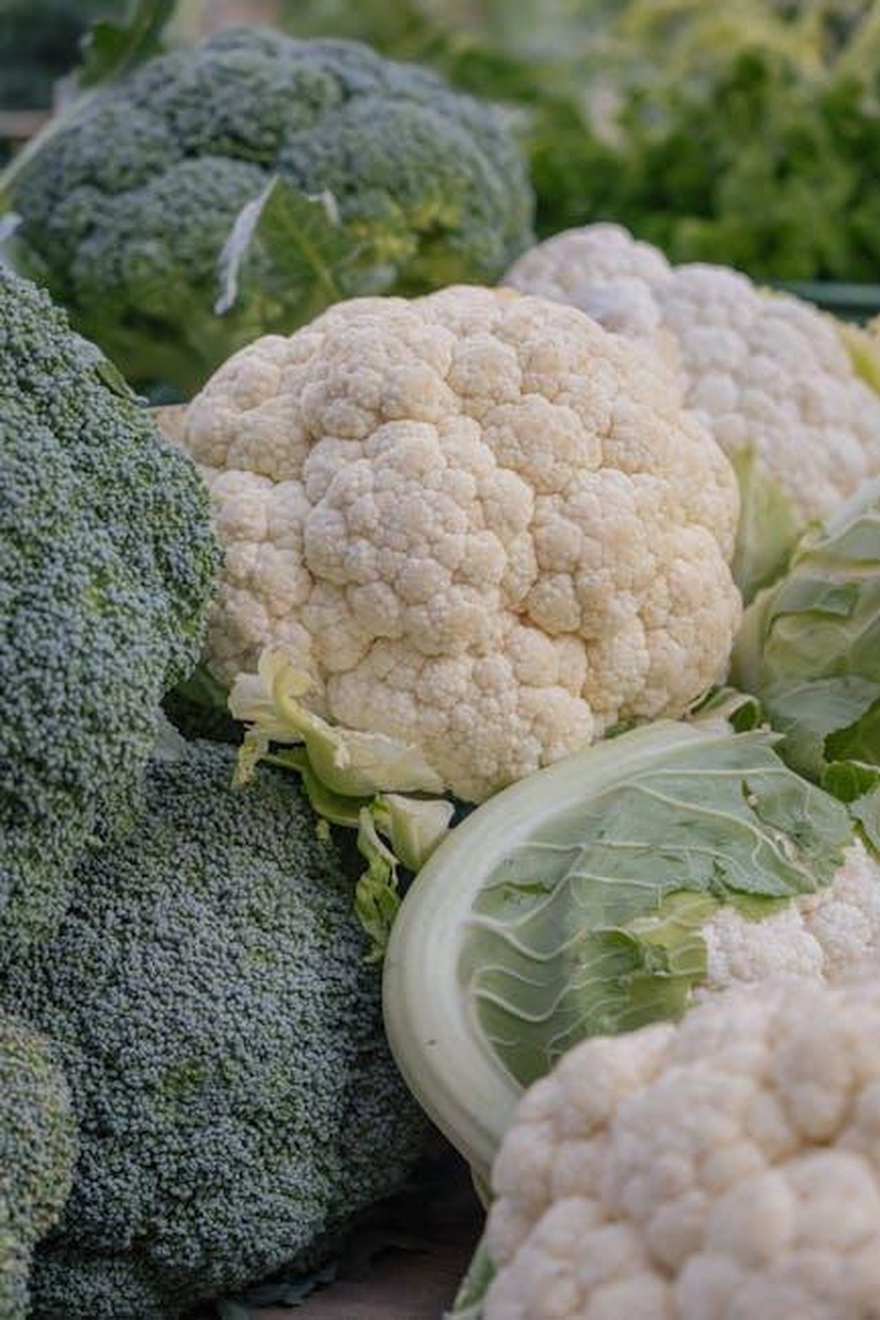 Offerte_su_prodotti_Spanx_fino_al_70_di_sconto_0Qk20K7xwh - Confidenze24 Source: Ilo Frey - pexels - Close-up of fresh broccoli and cauliflower at a farmer's market showcasing vibrant produce.