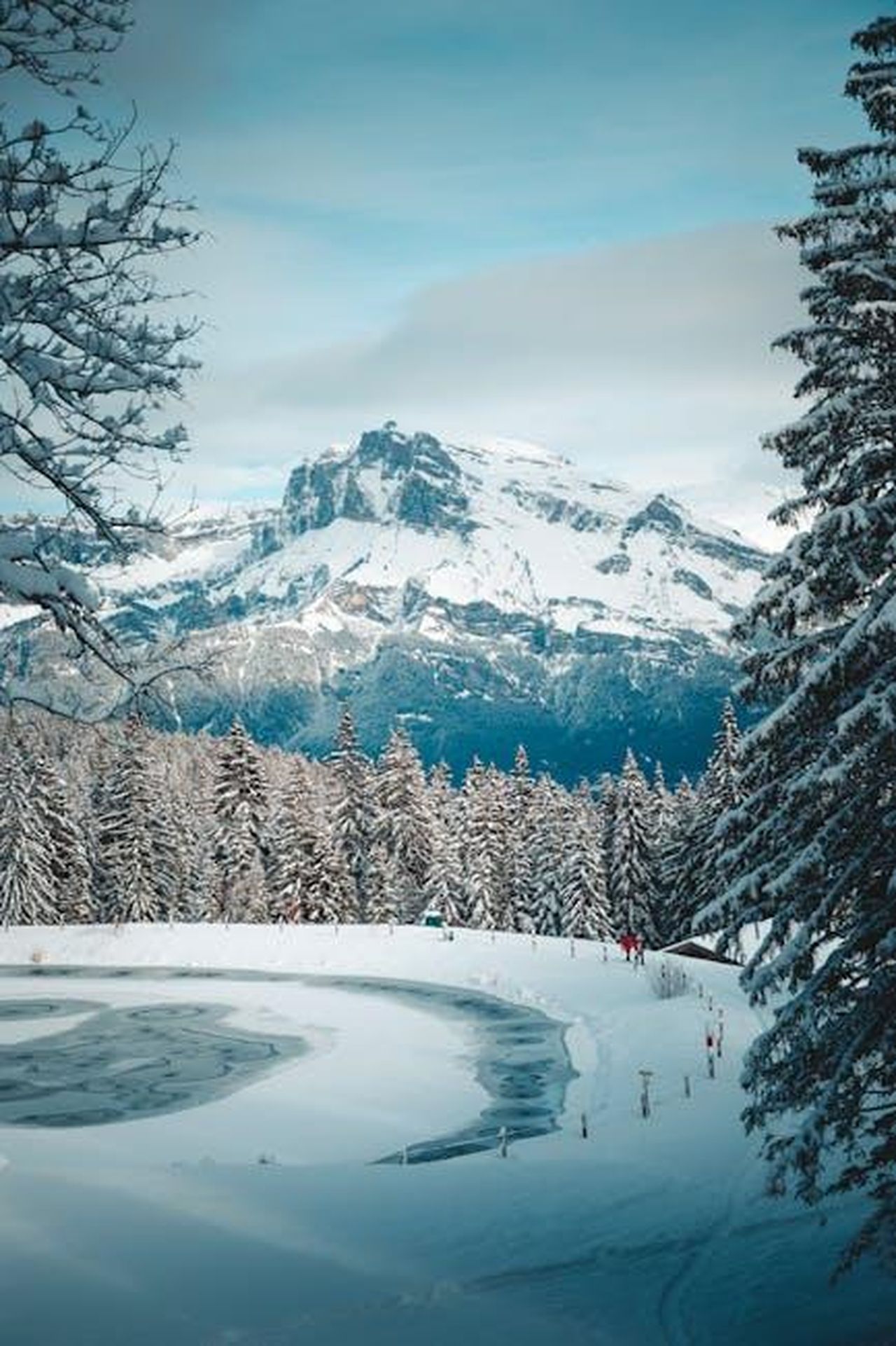 Opinioni_dei_telespettatori_divise_XWU8DzmTHm - Confidenze24 Source: Ryan Klaus - pexels - Breathtaking snow-covered forest and mountains in Megève, France, captured on a serene winter day.