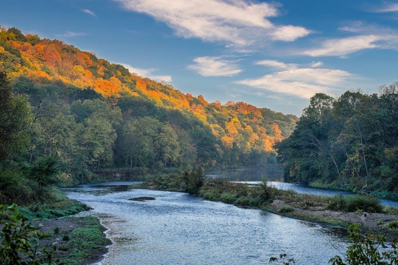 Perch_Alison_ha_detto_no_a_Celebrity_Big_Brother_VVZGlHokvC - Confidenze24 Source: Tom Fisk - pexels - Vibrant fall foliage along a winding river in Hammond, Minnesota.