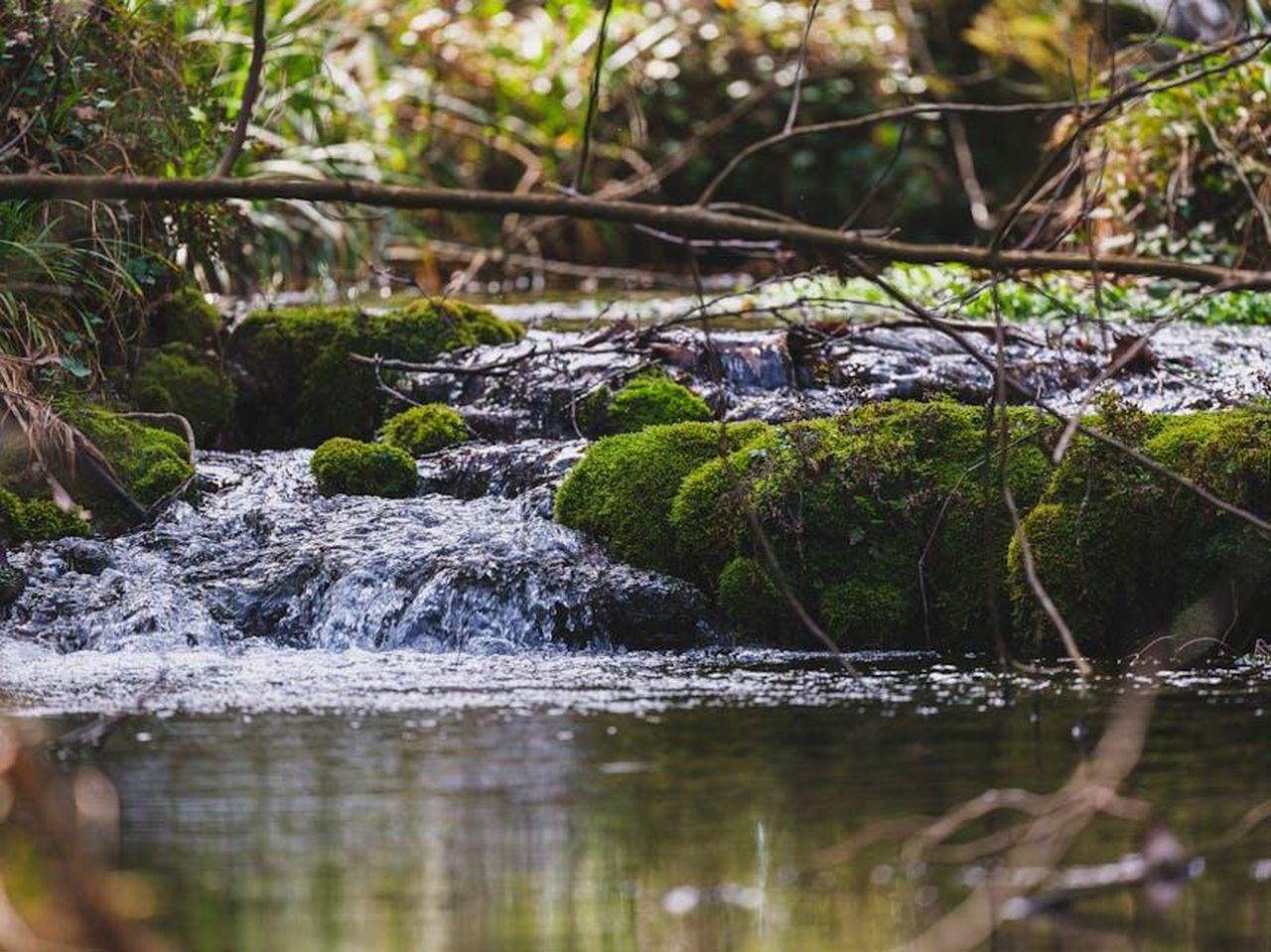Perch_scegliere_Pacifica_Island_Vanilla_ey9odzSLZ2 - Confidenze24 Source: Engin Akyurt - pexels -