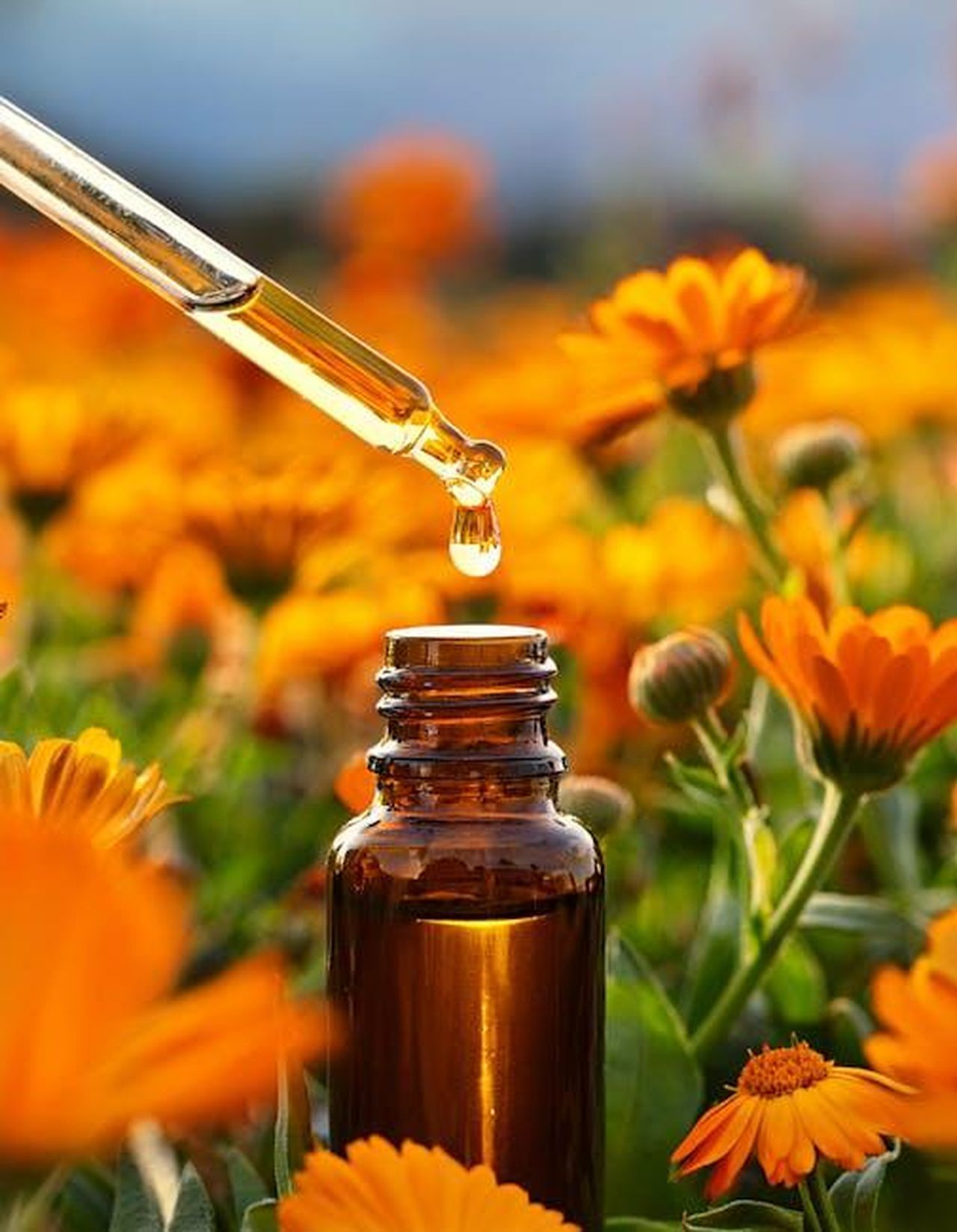 Perch_scegliere_il_Vacation_Classic_Whip_Glow_SPF_30_6DwN1CijtJ - Confidenze24 Source: Tami Arita - pexels - Capture of a dropper dispensing calendula essential oil in a blooming field.