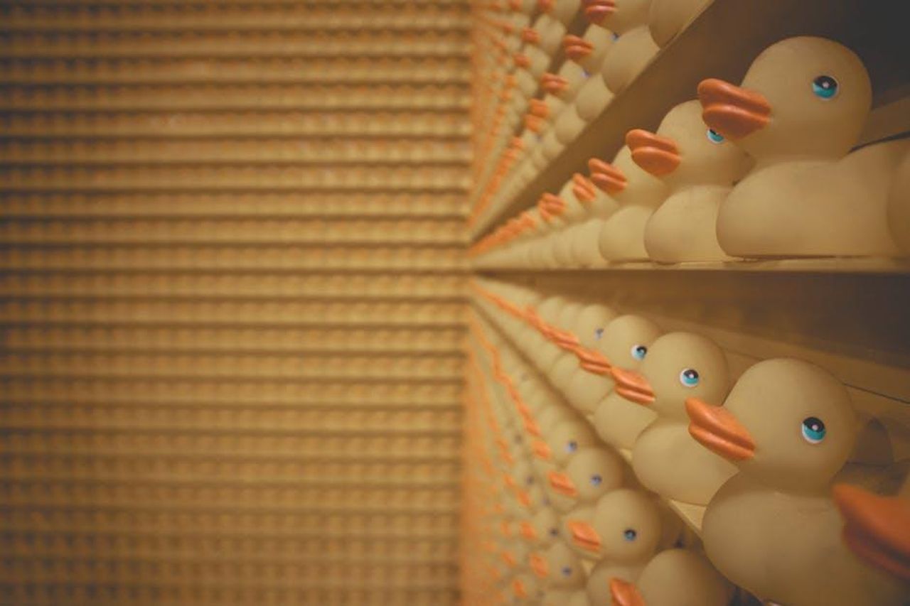 Porta_i_migliori_giocattoli_LZf8emSCTQ - Confidenze24 Source: Designecologist - pexels - A conceptual display of yellow rubber ducks aligned indoors, creating a fun and playful artistic pattern.