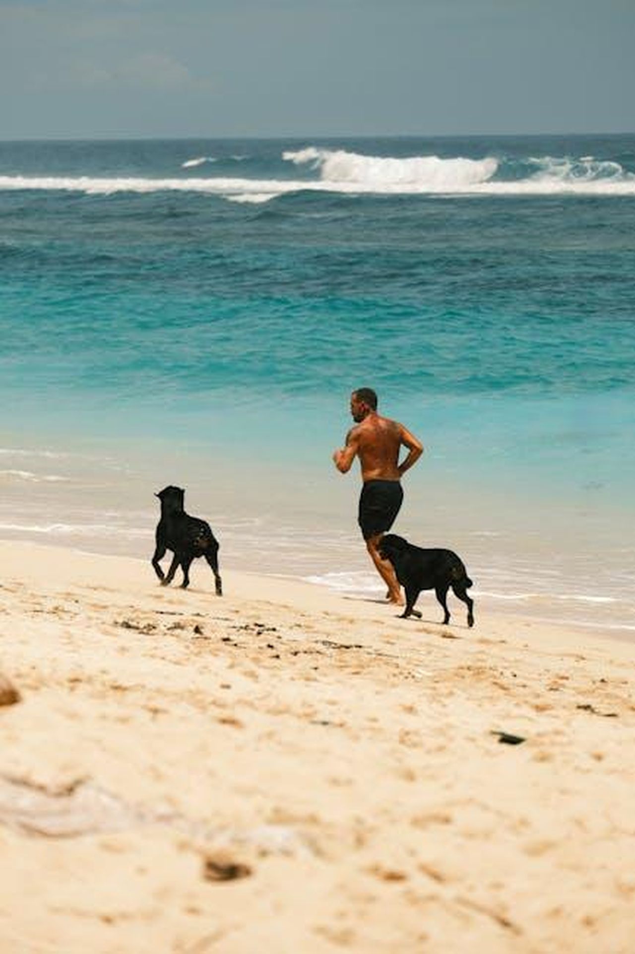 Prendetevi_cura_di_voi_stessi_6Bw5MlJo3H - Confidenze24 Source: Pavel Kuznetsov - pexels - A man jogs along a sandy beach with two black dogs, under a clear sky by the ocean.