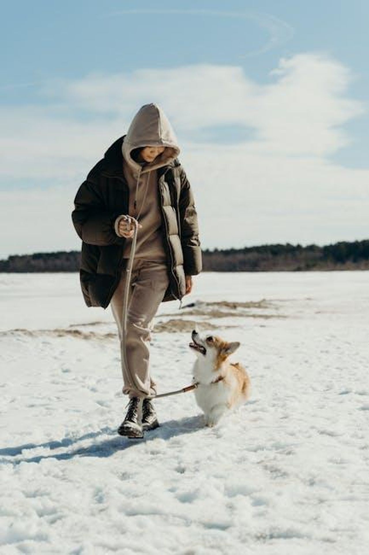 Prossimo_biopic_su_Michael_Jackson_a_Neverland_Xj8YDlNtaX - Confidenze24 Source: cottonbro studio - pexels - A woman in a puffer jacket walks her corgi on a snowy day, showcasing winter fashion and companionship.