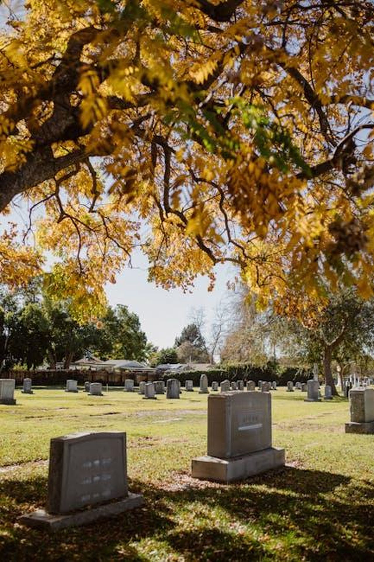 Quando_Andr_in_Onda_il_Finale_della_Stagione_2_di_Tracker_e2wYGF9uOS - Confidenze24 Source: RDNE Stock project - pexels - A peaceful cemetery with tombstones surrounded by autumn foliage.