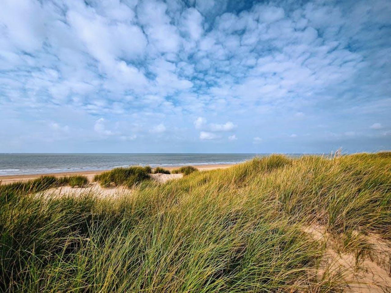 Quando__apparso_Robin_White_in_EastEnders_YYCyKZG3Nx - Confidenze24 Source: Nirjhar Basak - pexels - Explore the serene landscape of Ostend with its sandy dunes and ocean view under a cloudy sky.