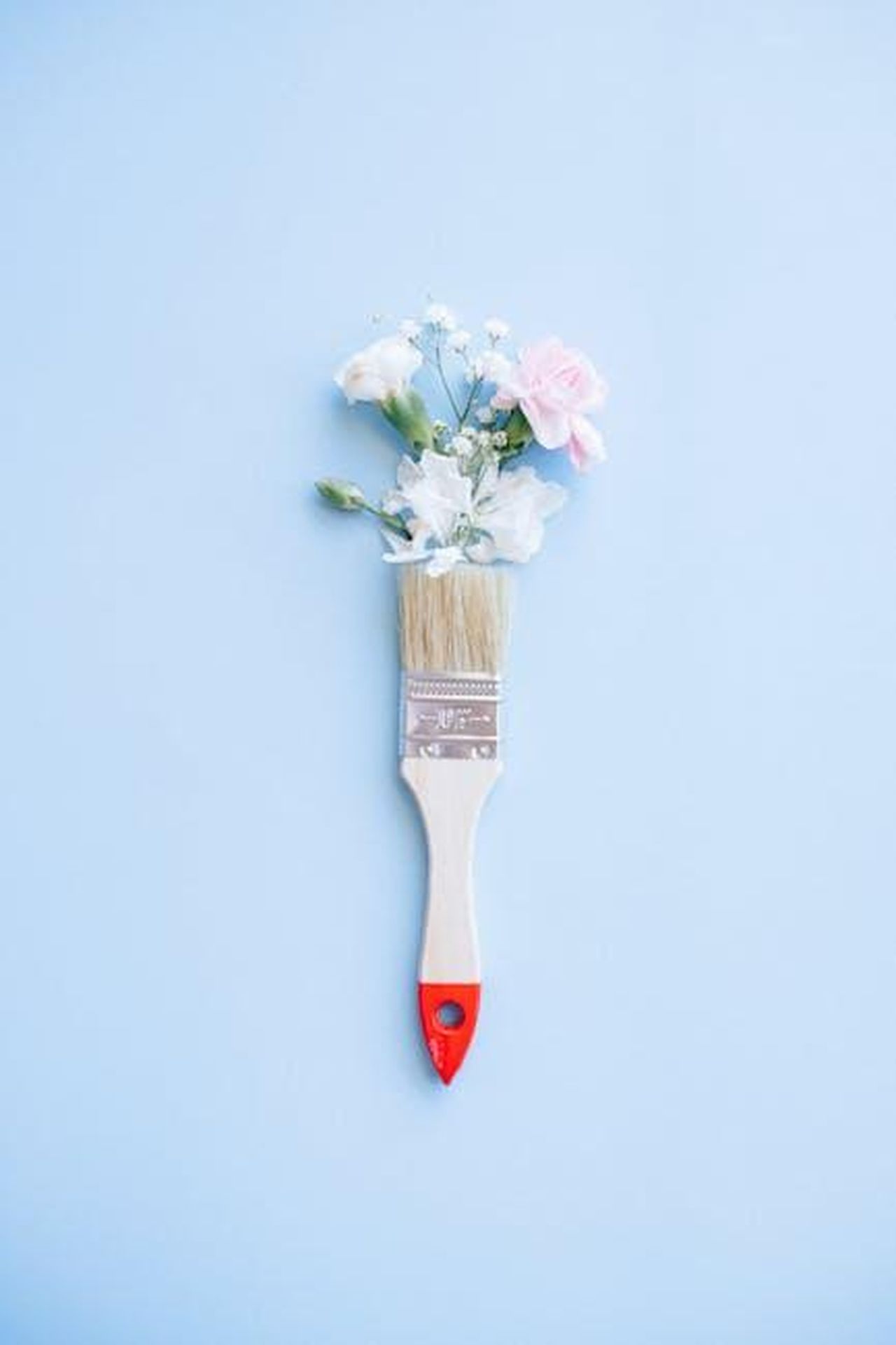 Quando_sar_rinnovato_The_Way_Home_per_la_Stagione_4_gvH7tQfNo7 - Confidenze24 Source: Nataliya Vaitkevich - pexels - A minimalist image of a paintbrush adorned with delicate flowers against a blue background.