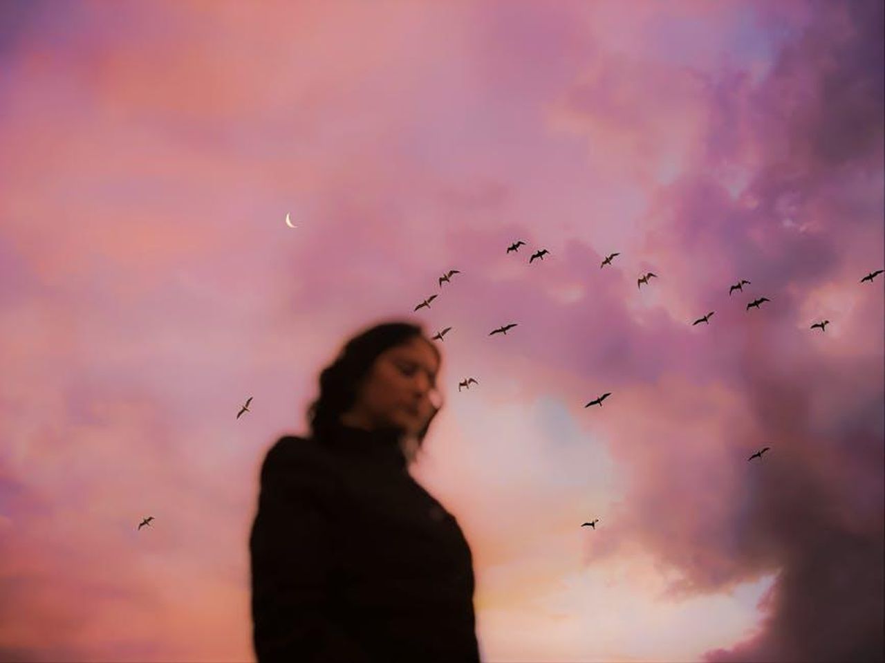Quando_torner_Clarkson_al_suo_show_twlTZTSy3J - Confidenze24 Source: Eugene Golovesov - pexels - Blurry silhouette of person with birds flying and crescent moon in vibrant pink sky at sunset.