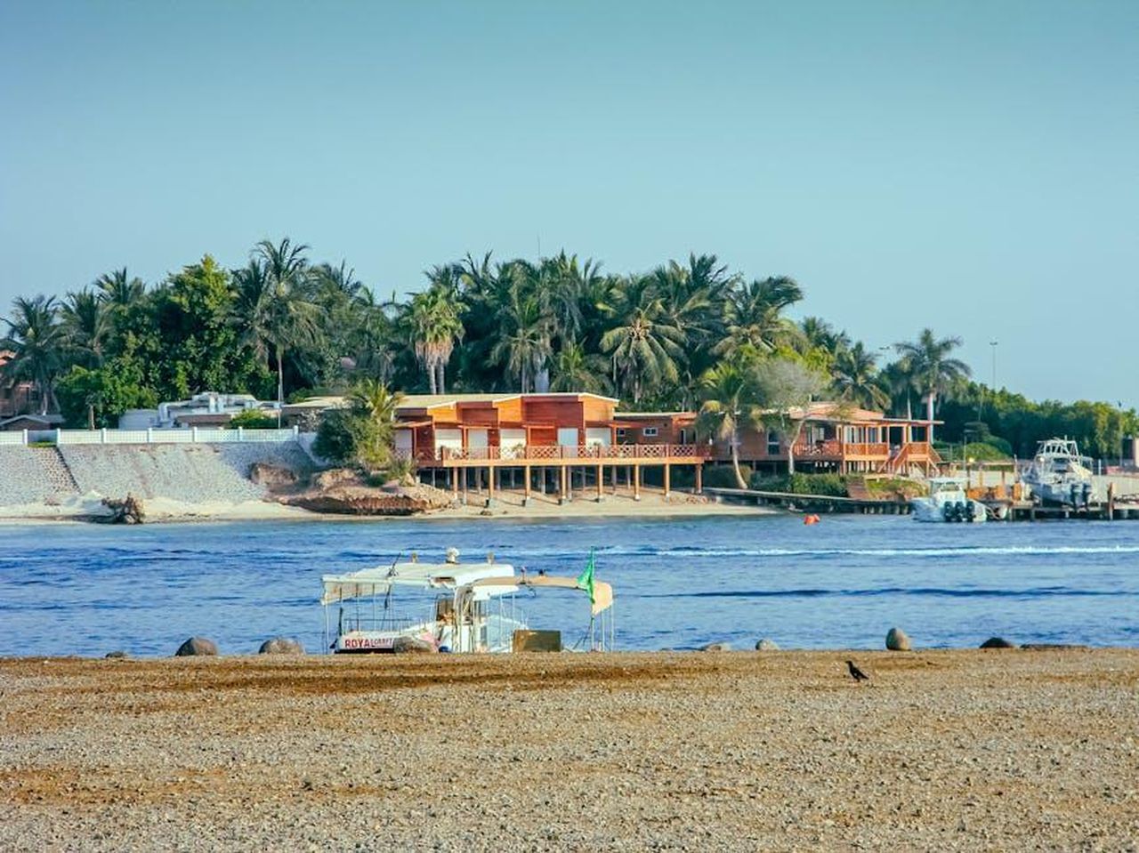 Re_Carlo_e_il_supporto_per_lapprendimento_di_William_U5oxhV5Kmd - Confidenze24 Source: Faisal Nabrawi - pexels - Experience the serene beach vibes and palm-lined shores of Jeddah, perfect for relaxation and exploration.
