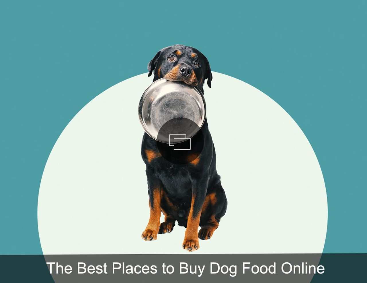 Recensioni_dei_Genitori_di_Animali_Domestici_GhziBciWNT - Confidenze24 Recensioni dei Genitori di Animali Domestici Cibo per cani online