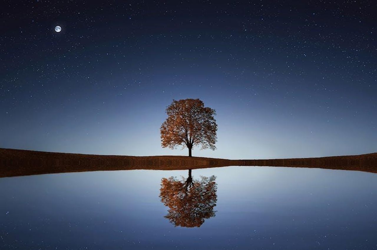 Riflessioni_di_Hoda_sulla_sua_decisione_di_lasciare_Today_31CLAzxCRP - Confidenze24 Source: Pixabay - pexels - Serene night landscape with a solitary tree reflecting in calm waters beneath a starry sky.