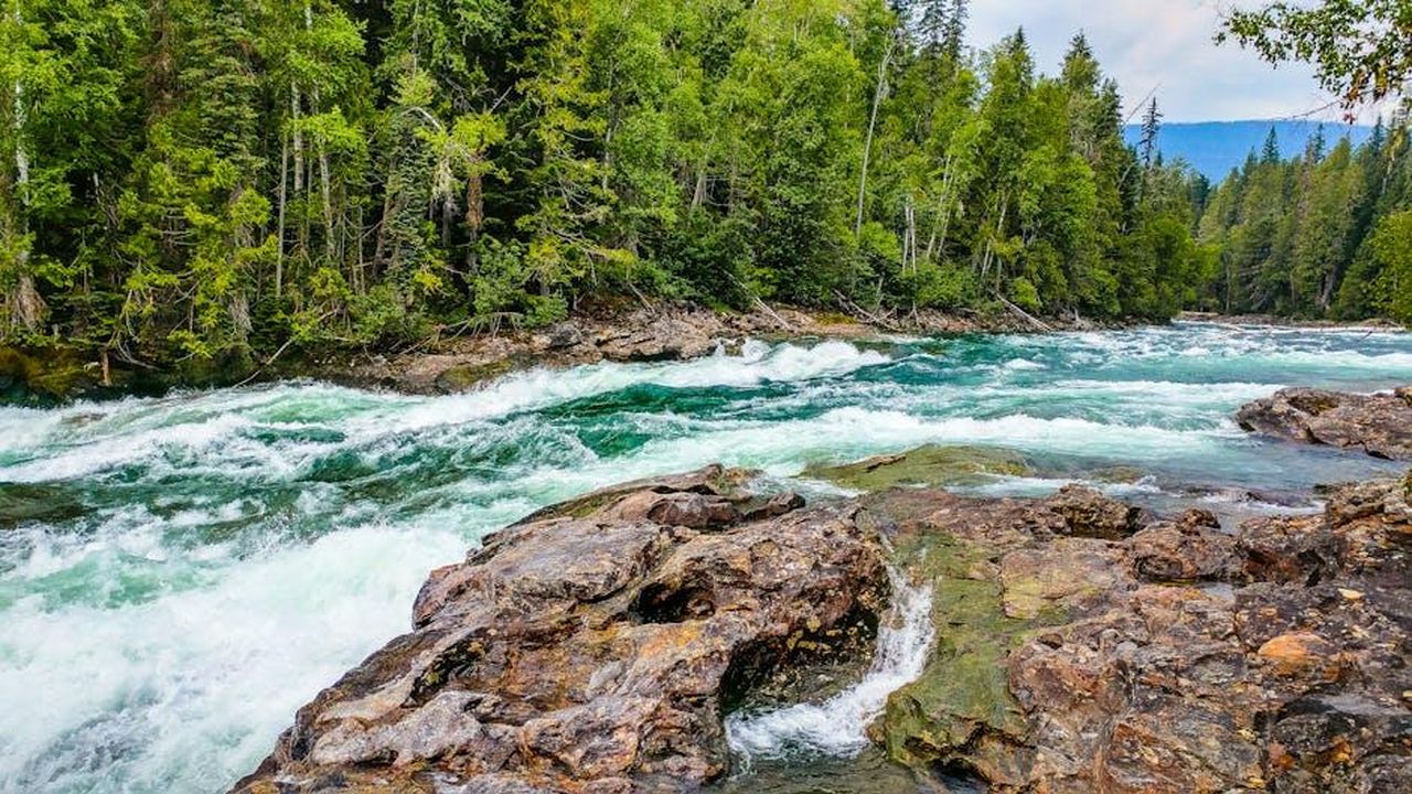 Riflessioni_di_Sutton_sulla_bellezza_naturale_zITSemD2f6 - Confidenze24 Source: Baskin Creative Co. - pexels - A vibrant river flows through a lush green forest, showcasing nature's beauty.