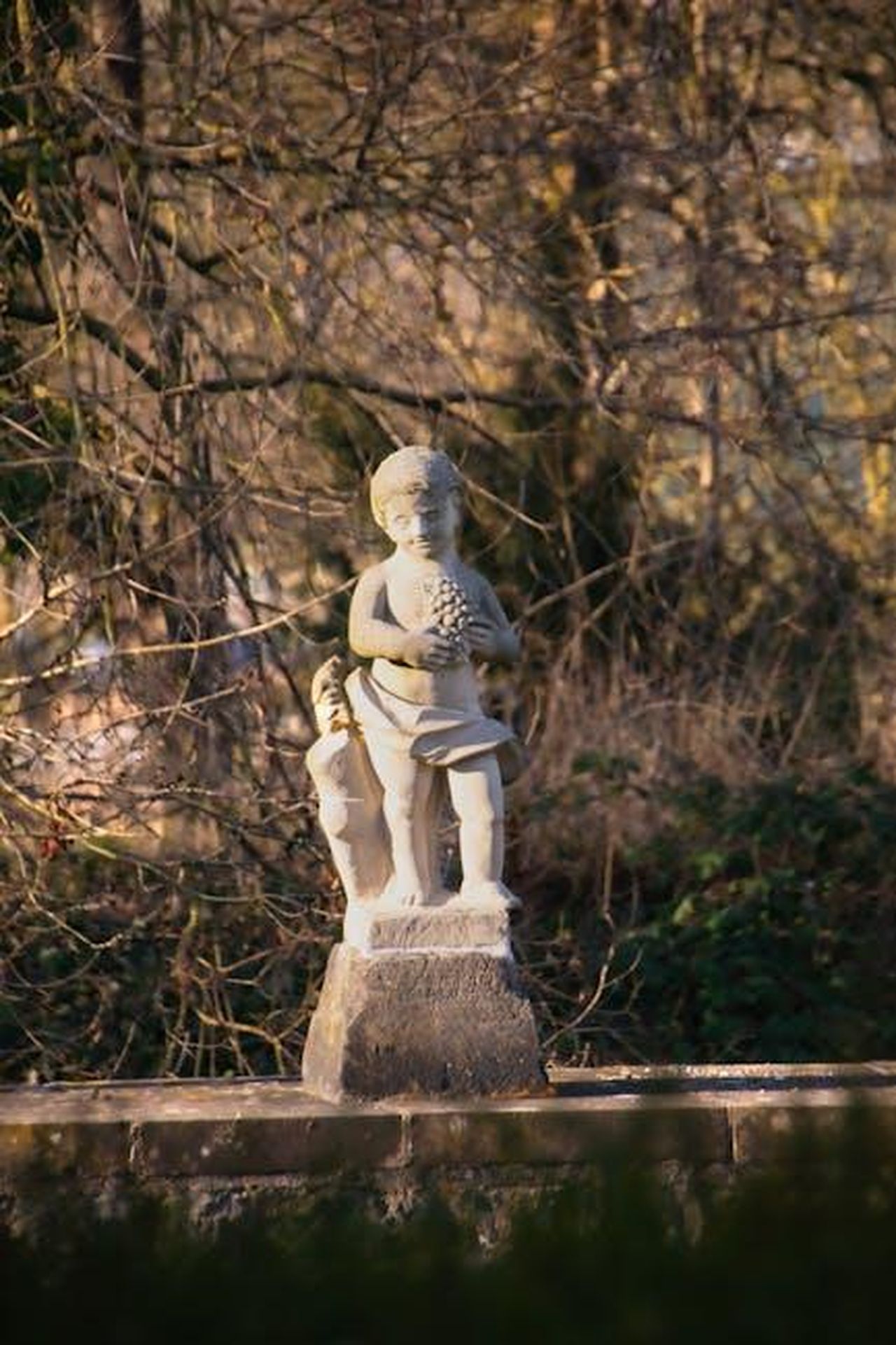 Sir_Carter_un_profilo_riservato_LRofXiyMLz - Confidenze24 Source: Lilli Zenkert - pexels - A serene outdoor setting featuring a stone statue of a child adorned with nature's backdrop.