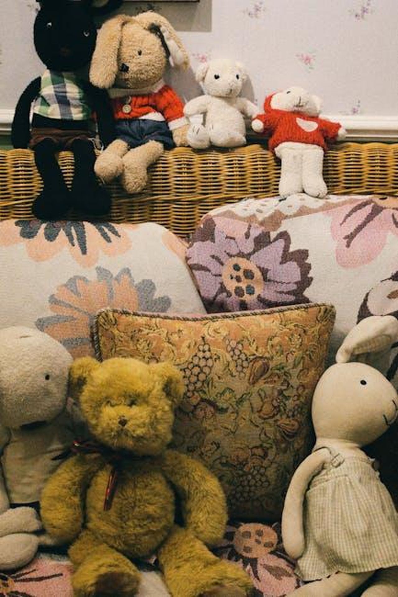Squishmallows_Day_Un_Evento_da_Non_Perdere_7QIXLKuRIw - Confidenze24 Source: Tiến Nguyễn Việt - pexels - Charming collection of cuddly stuffed animals arranged on a cozy floral-patterned sofa.