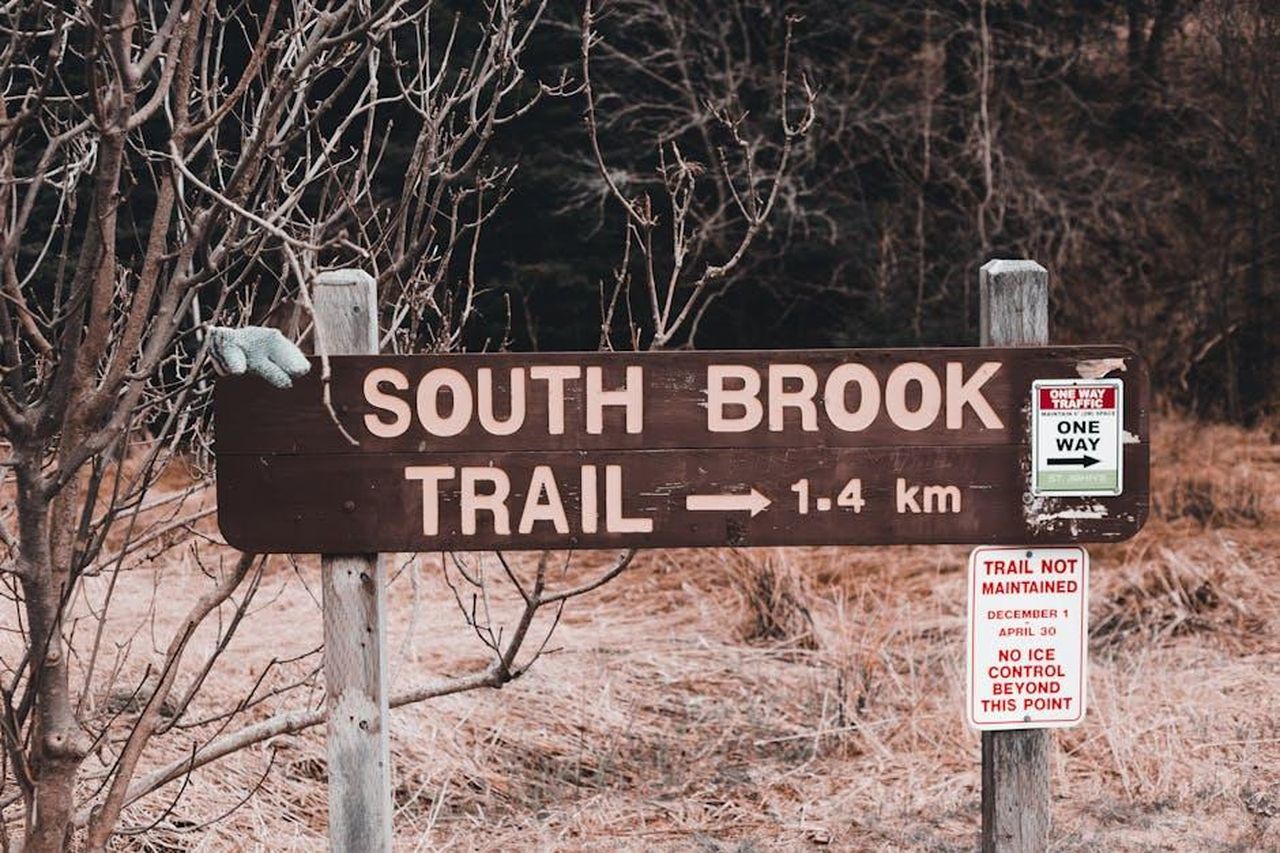 The_Way_Home__stato_rinnovato_per_la_Stagione_4_aICjRCNAg2 - Confidenze24 Source: Erik Mclean - pexels - Wooden sign with direction to South Brook trail placed near inscriptions and leafless trees near dry grass in countryside in autumn day