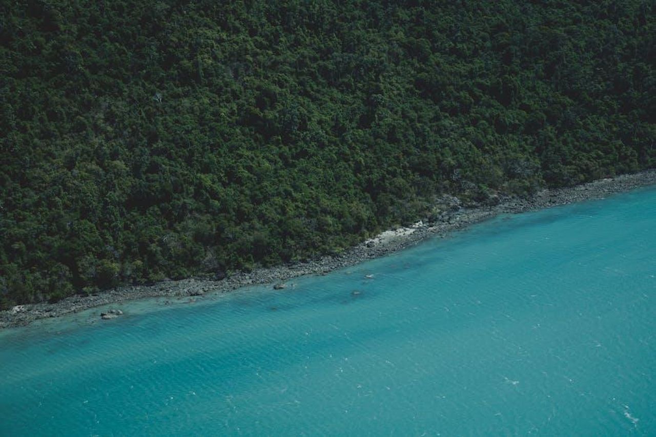 Tom_Selleck_apparir_nello_spinoff_di_Blue_Bloods_frHN72K0J9 - Confidenze24 Source: Wild Shots Art - pexels - Free stock photo of airlie beach, beach activities, crystal clear waters