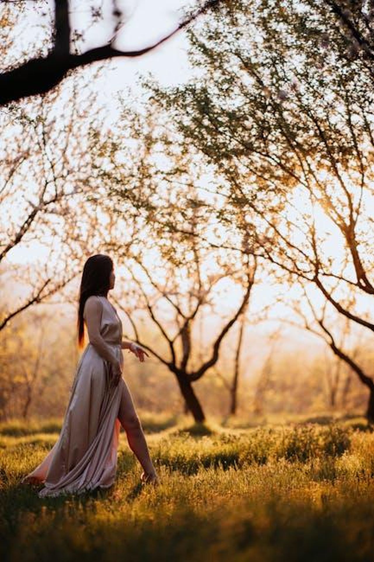 Tracker_Torner_per_la_Stagione_3_iyvS0GFLHQ - Confidenze24 Source: Galina Kolonitskaia - pexels - A woman in a flowing dress walks gracefully through a blossoming orchard during sunset, highlighting the beauty of spring.