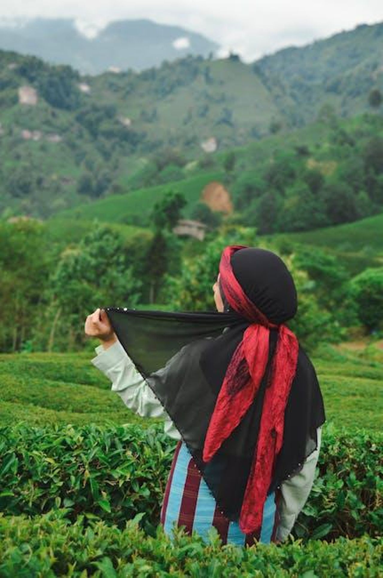 Tradizioni_del_sabato_mattina_con_i_bambini_MhIgAUnoFI - Confidenze24 Source: Esra Kaya - pexels - A woman in traditional attire admiring the lush tea plantation landscape.