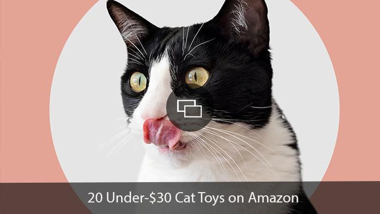 Un_prodotto_irresistibile_per_i_gatti_7hcoLidi4v - Confidenze24 Un prodotto irresistibile per i gatti Migliori giocattoli per gatti su Amazon