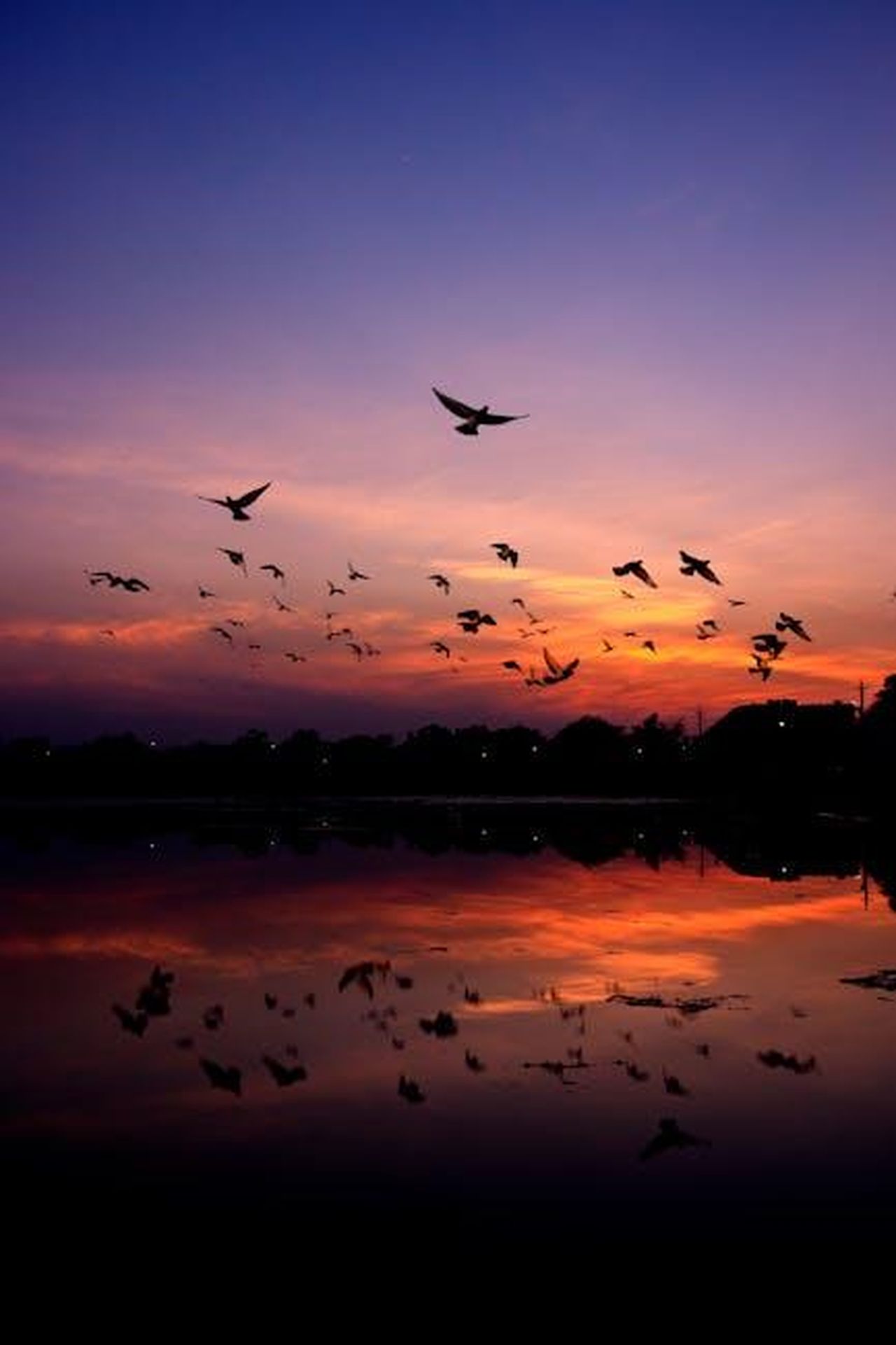 Un_video_speciale_condiviso_da_Meghan_boy6hixXqy - Confidenze24 Source: Kunal Baroth - pexels - Silhouettes of birds flying over a serene lake at twilight with a colorful, dramatic sky in Chandigarh, India.