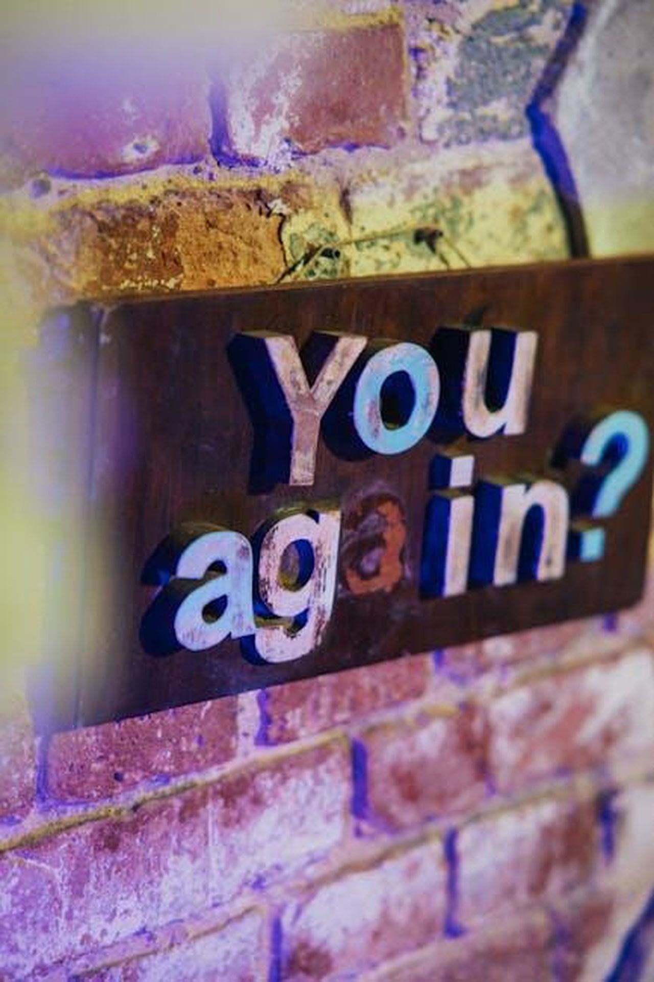 Warwick_Davis_parla_di_Sponge_0ZEZMeIRdG - Confidenze24 Source: KoolShooters - pexels - Colorful sign on a brick wall with the text 'You again?' creating a vintage vibe.