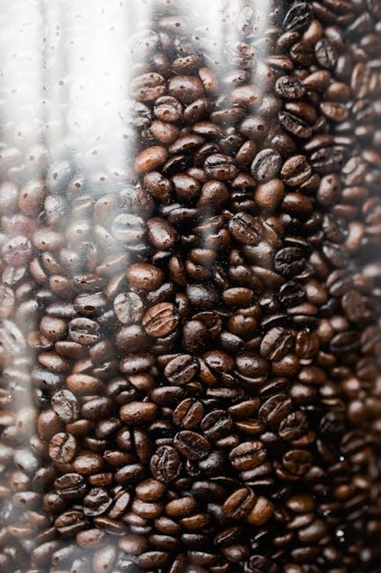 Womanizer_Enhance_il_nuovo_stimolatore_clitorideo_FwG9ajkn5v - Confidenze24 Source: Andrew Neel - pexels - Detailed view of roasted coffee beans inside a clear glass jar, highlighting their rich brown color and shiny texture.