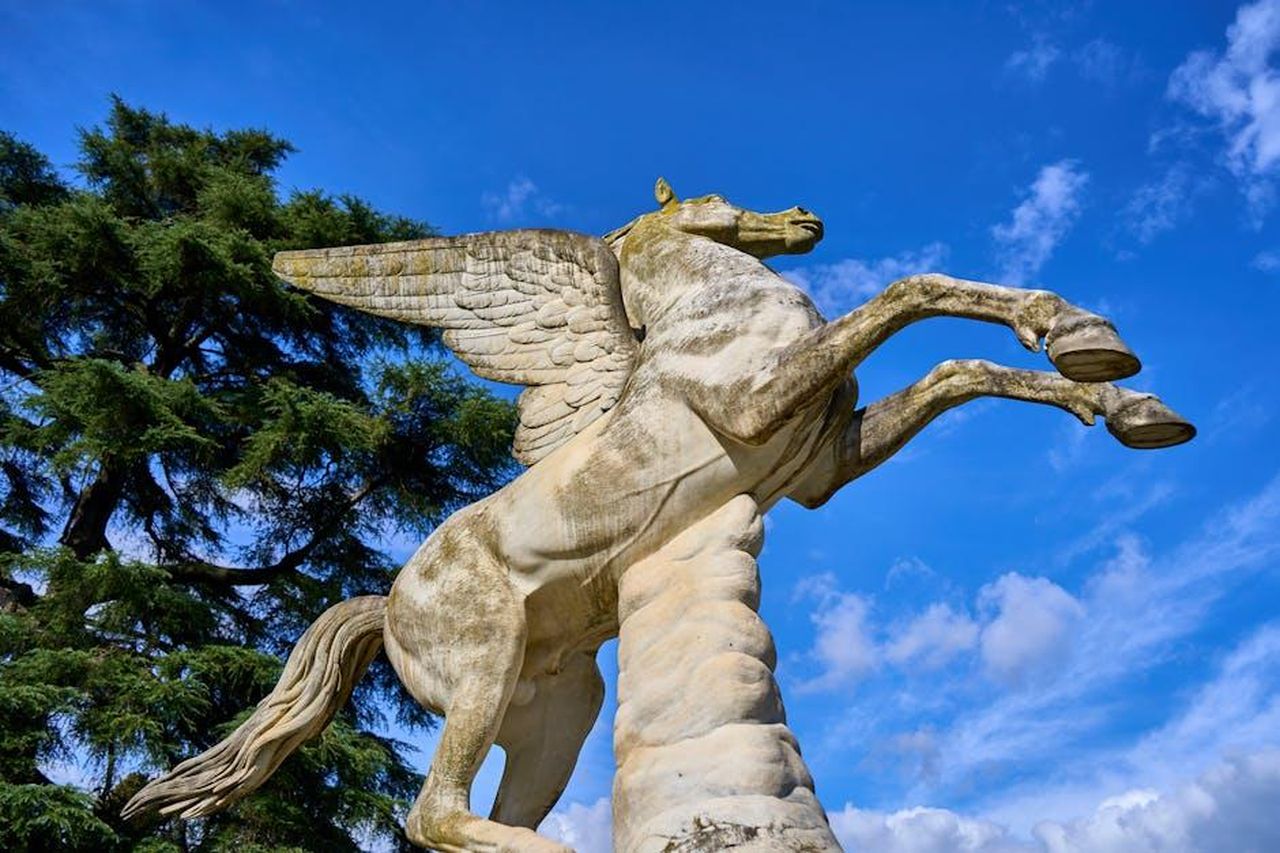 Incontro_con_APOPO_lorganizzazione_che_addestra_i_ratti_i1ANRYiMVh - Confidenze24 Source: Gotta Be Worth It - pexels - Close-up of a Pegasus statue with wings extended, set against a vibrant blue sky.